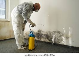 Environmental Consulting for Mold Prevention in Kapolei, HI